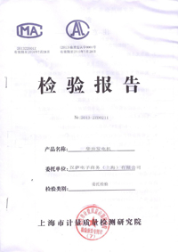 柴油發(fā)電機(jī)檢驗(yàn)報(bào)告