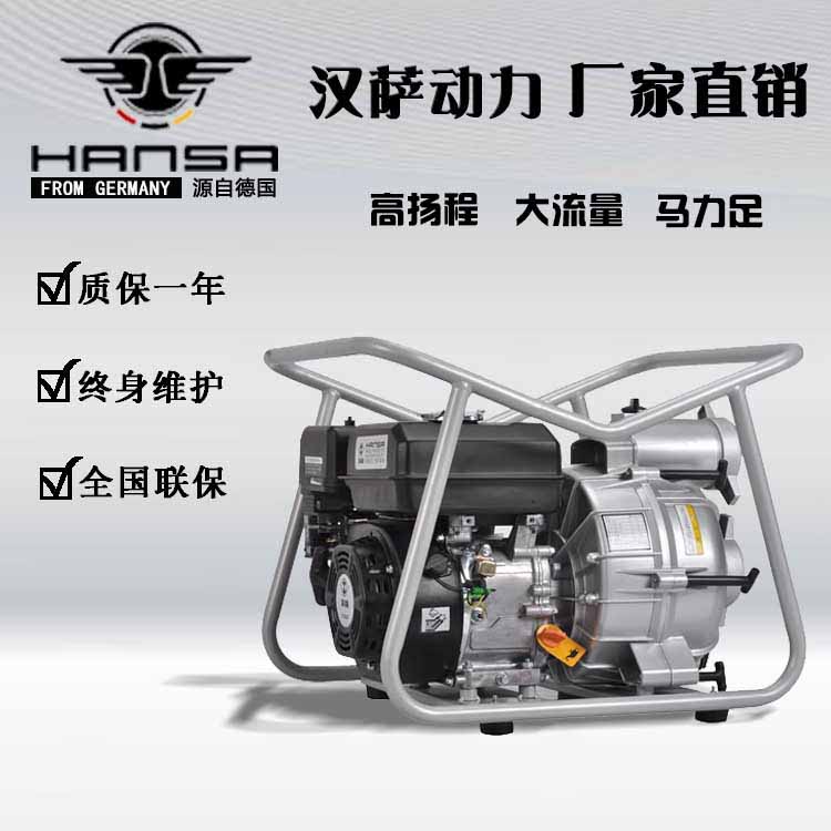 西藏林芝雙虎商貿(mào)有限公司 采購漢薩發(fā)電機、水泵各數(shù)十臺
