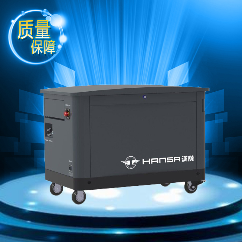 15kw多燃料汽油發(fā)電機(jī)